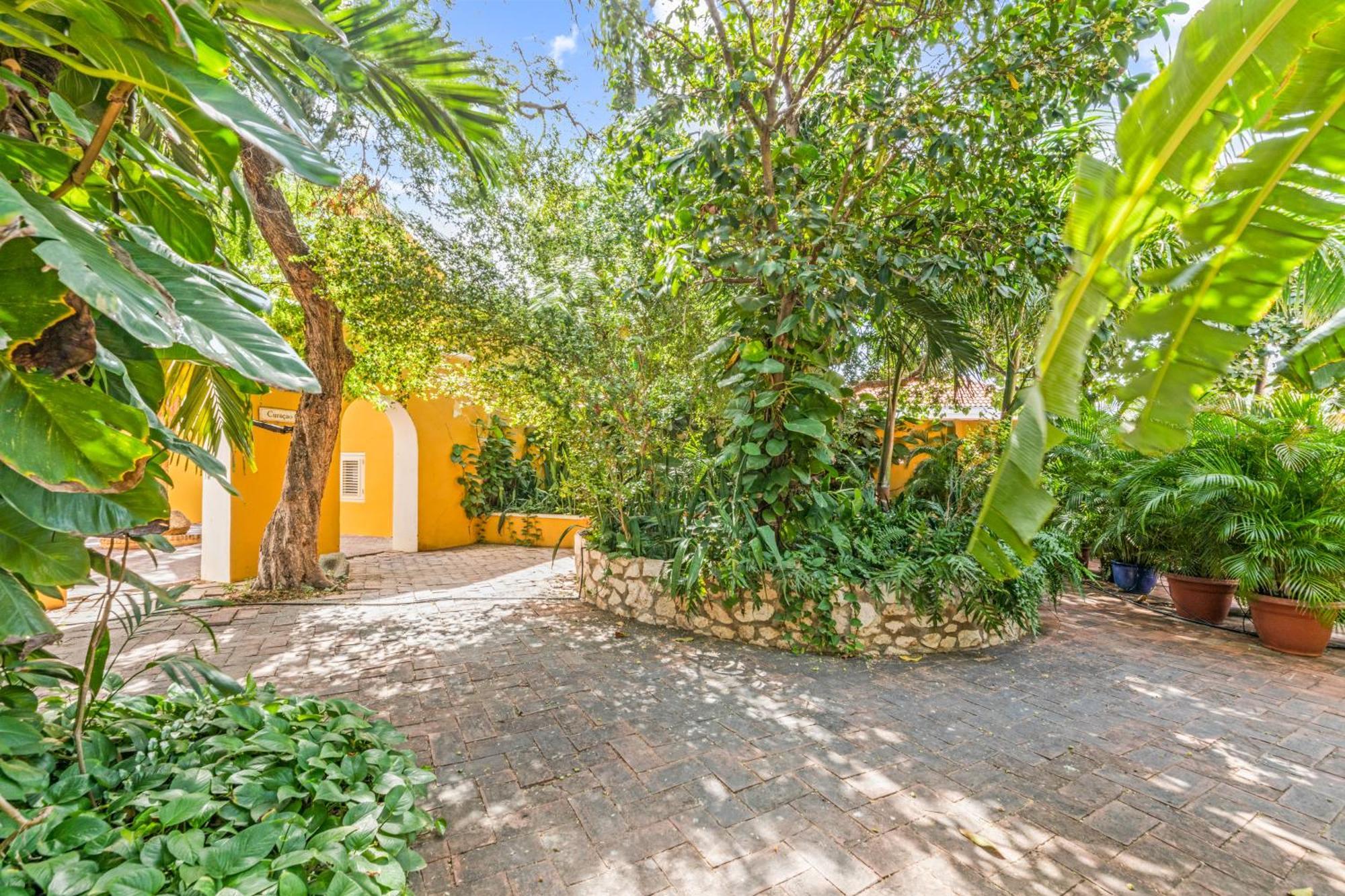 Curacao Gardens Lägenhet Willemstad Exteriör bild